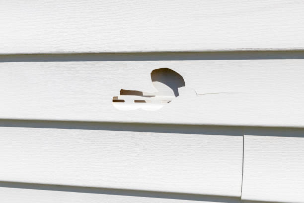 Best Storm Damage Siding Repair  in Cressona, PA